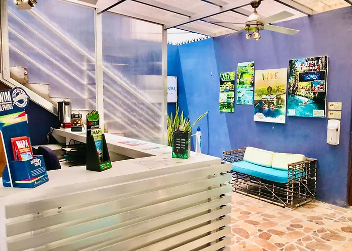 Condohotel 5th Avenue Basic Playa del Carmen